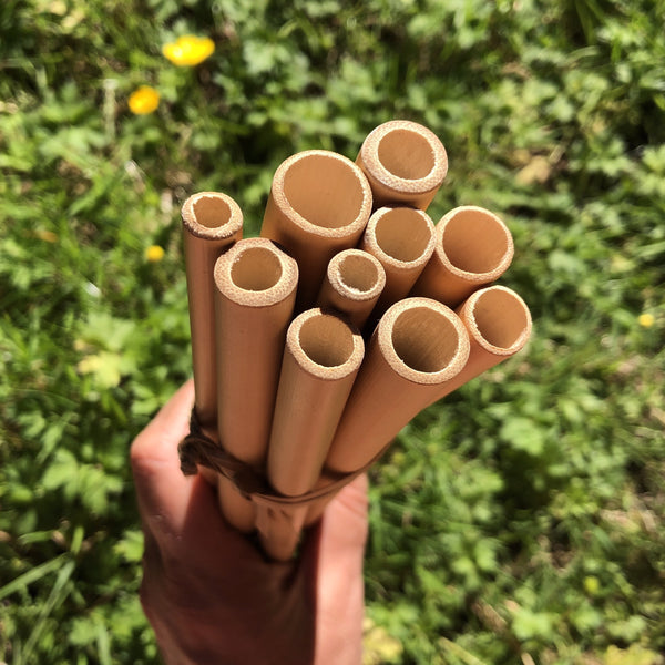 Bamboo Straws 10 pack, biodegradable, zero-waste living