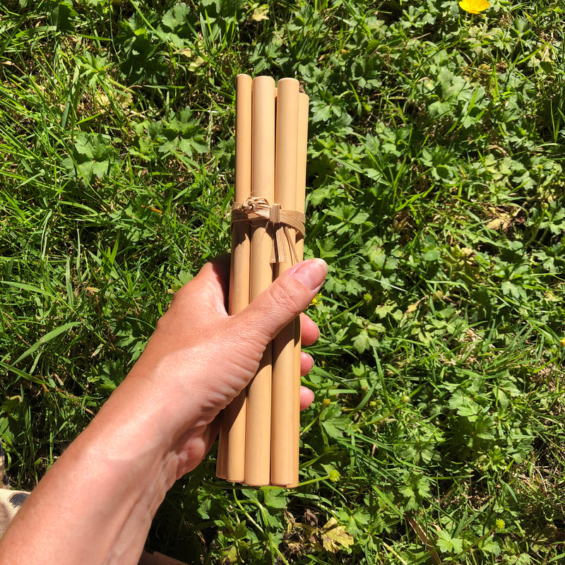 Bamboo Straws 10 pack, biodegradable, zero-waste living