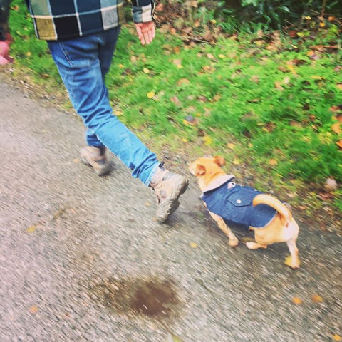 Sammy + Stone Raw Denim Dog Jacket - Downtown Betty