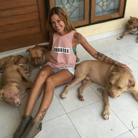 KK Pit Bull Rescues in Bali | DONATE $100 - Downtown Betty
