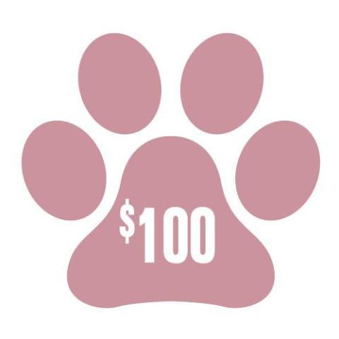 DONATE TO DOGGESS $100 - Downtown Betty