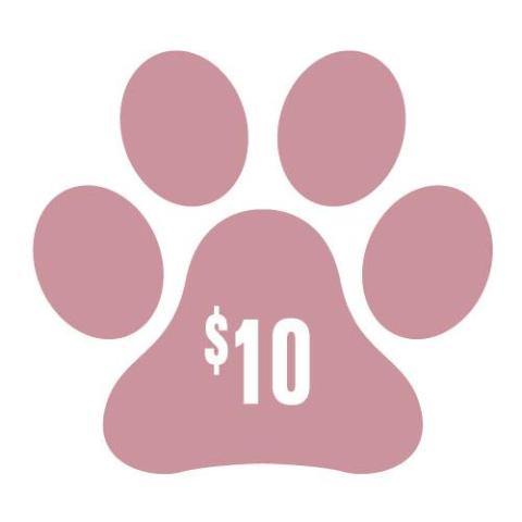 DONATE TO DOGGESS $10 - Downtown Betty