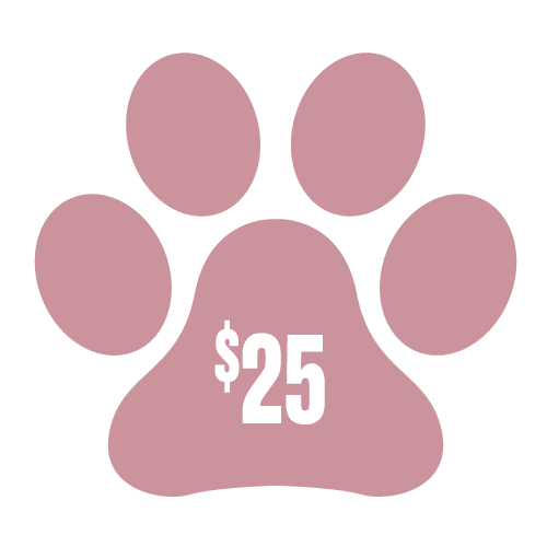 DONATE TO DOGGESS $25 - Downtown Betty