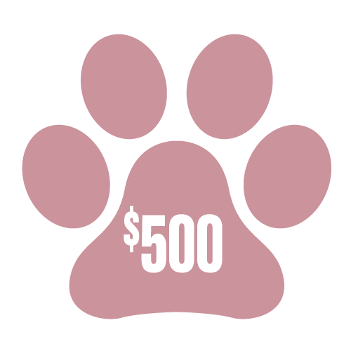 DONATE TO DOGGESS $500 - Downtown Betty