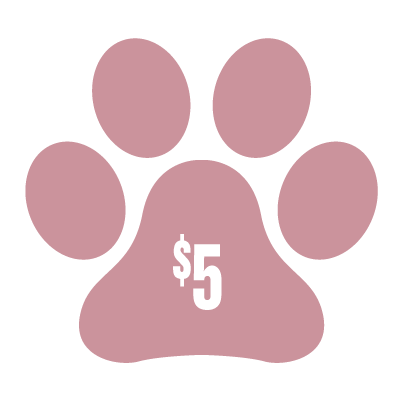 DONATE TO DOGGESS $5 - Downtown Betty